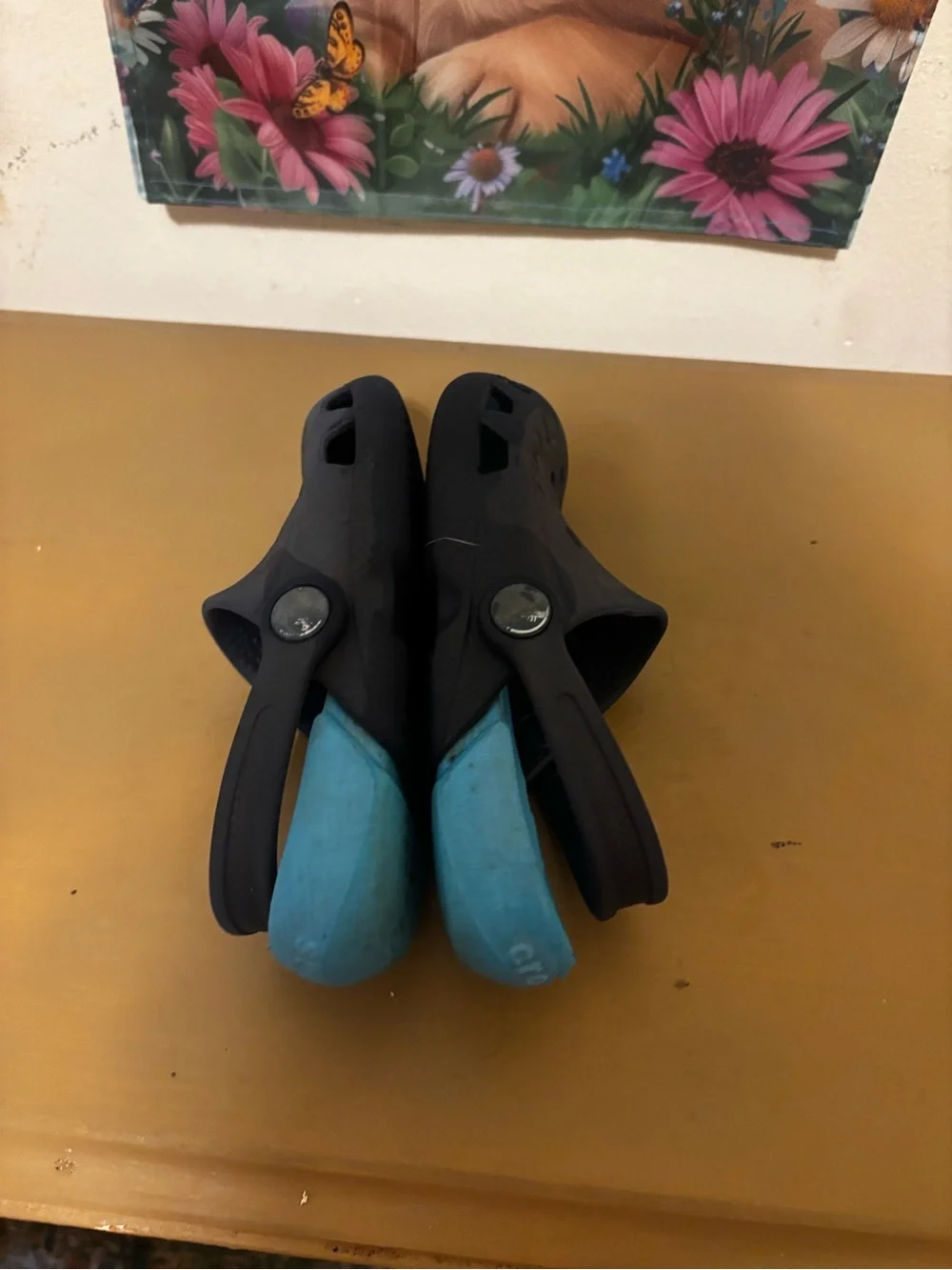 CROCS Kids' Clog in Black with Bright Blue Lining